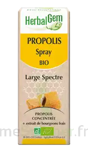 Herbalgem Propolis Large Spectre Solution Buvable Bio Spray/15ml à Hyères