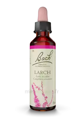Fleurs De Bach® Original Larch - 20 Ml à Hyères
